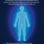 what is the biofield