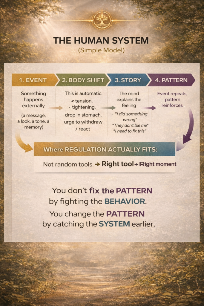 where regulation actually fits in