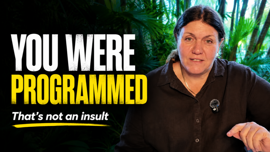 Why Being Programmed Is Not an Insult