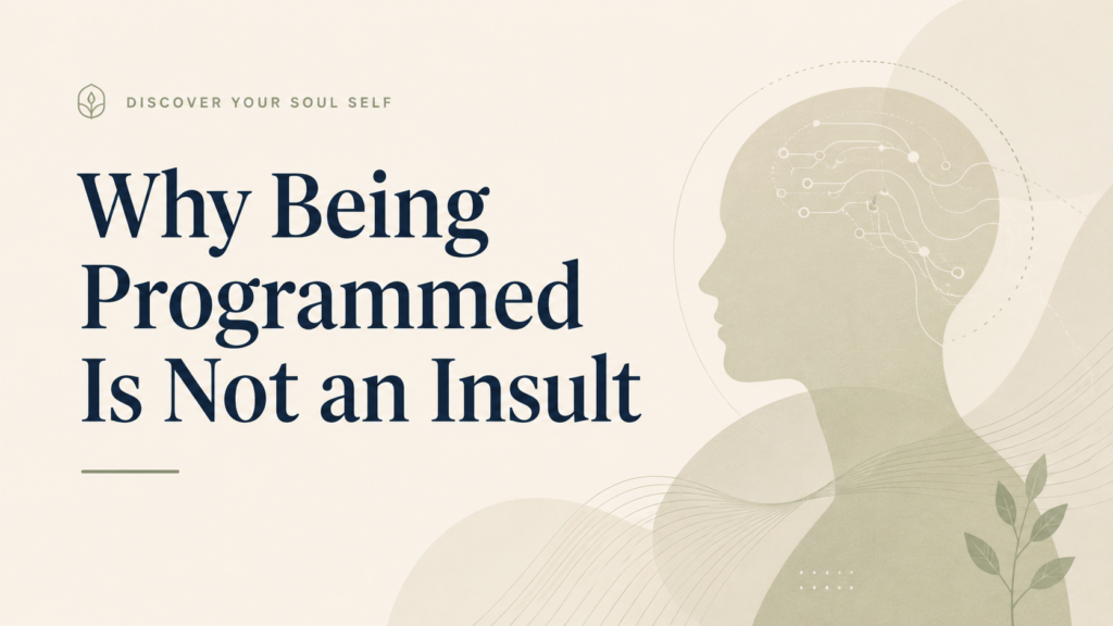 why being programmed is not an insult