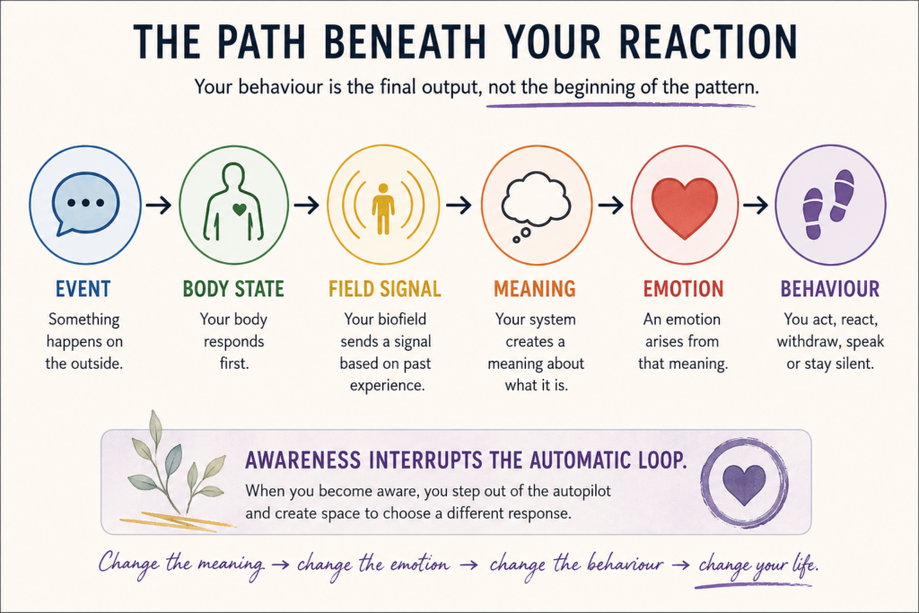 the path beneath your reaction