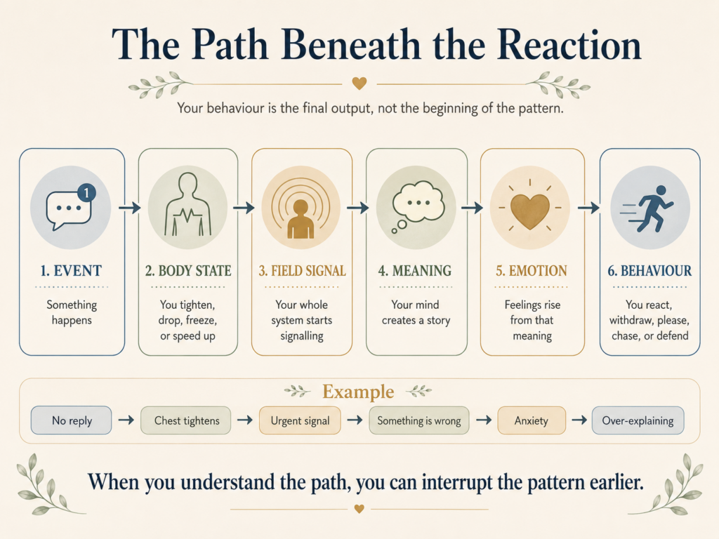 the path beneath the reactions