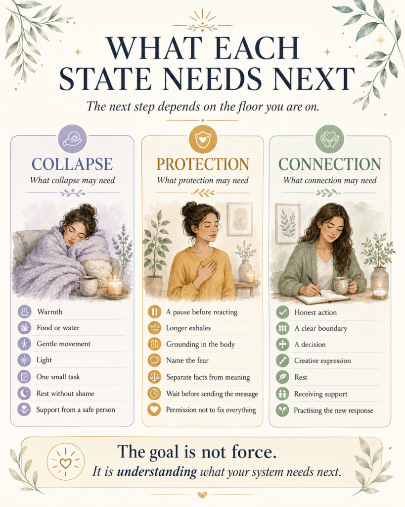 From collapse to connection