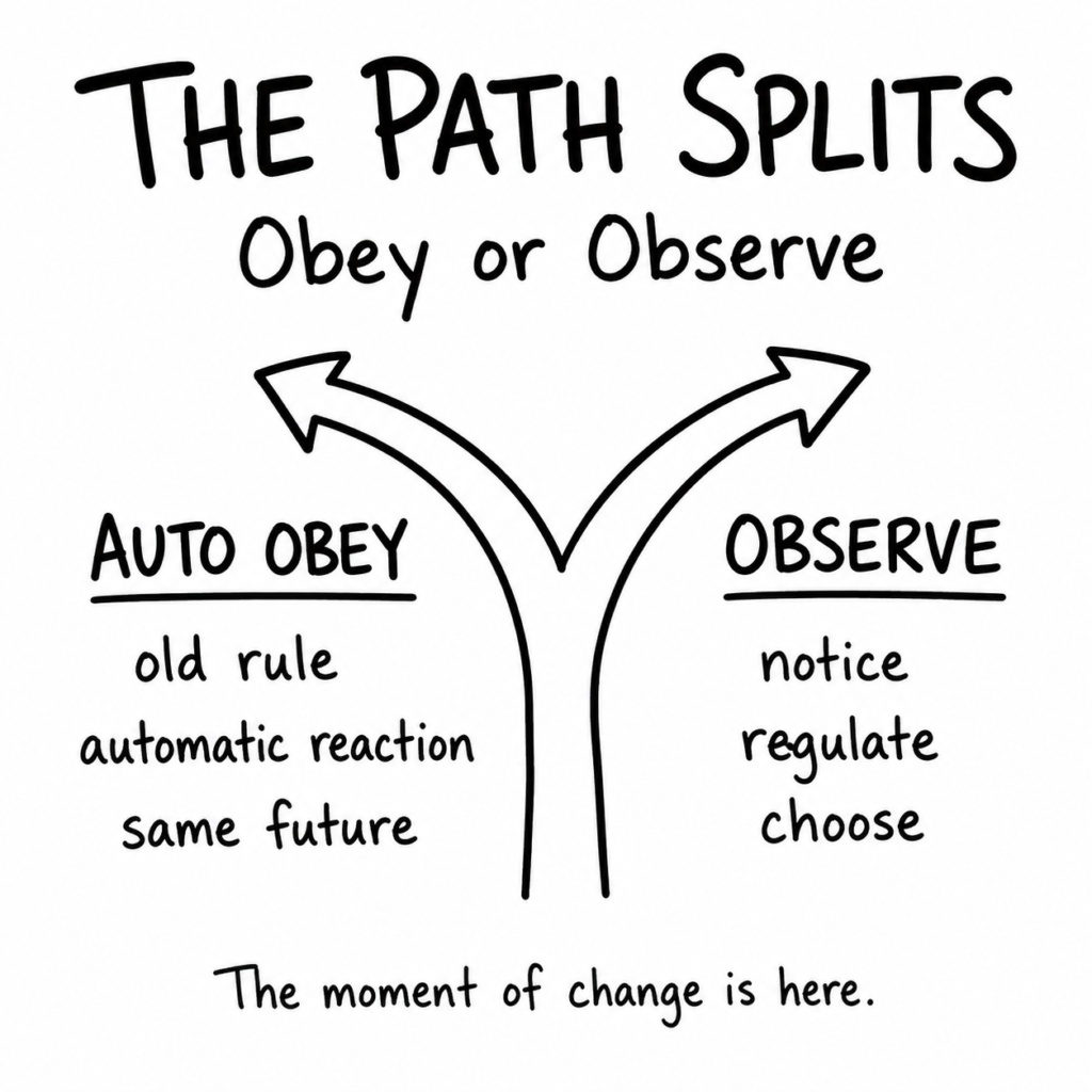 the path splits