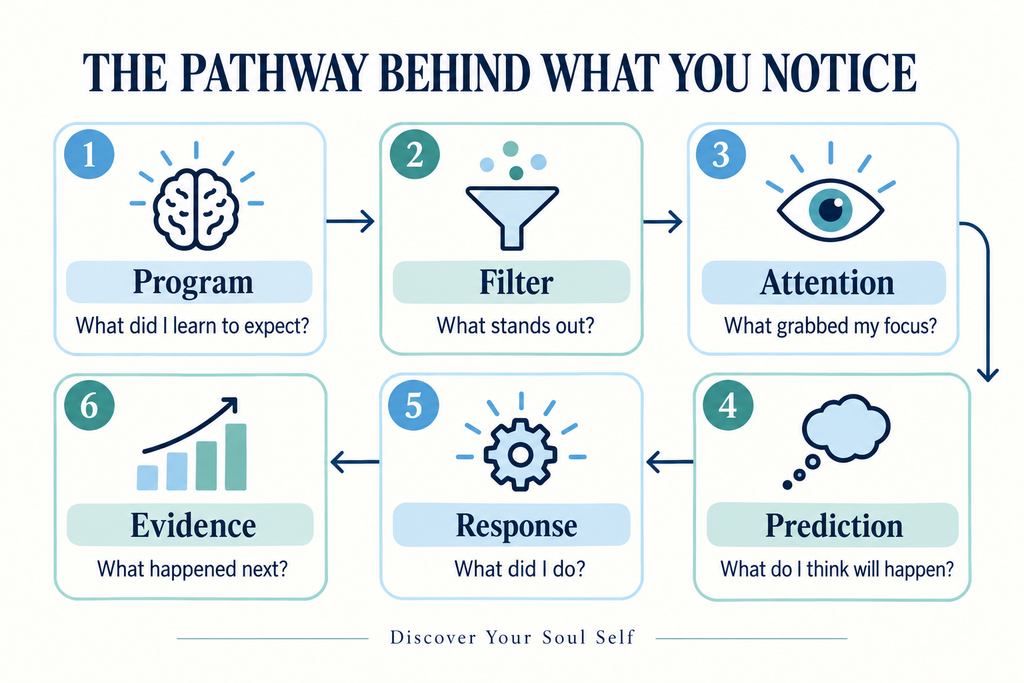 Six-step diagram showing how a program influences filters, attention, predictions, responses and evidence.